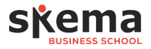 Logo SKEMA